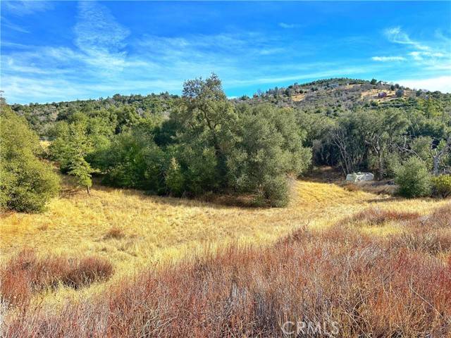 5672 Forest Meadow RD, Julian, CA 92036