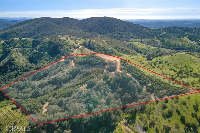 Temecula, CA 92590,4 Calle Uva