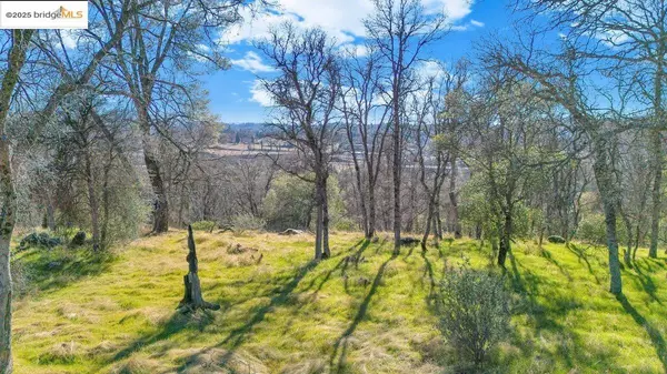 Sonora, CA 95370-5350,0000 Ivy LN