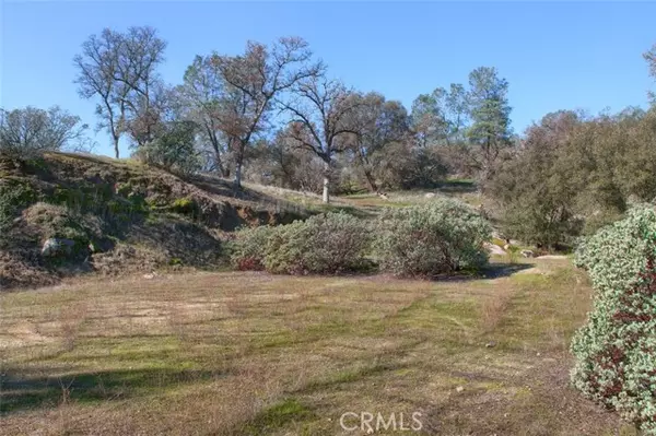 Coarsegold, CA 93614,0 6.48 AC Long Hollow DR