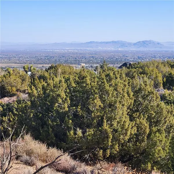 0 Hollister, Pinon Hills, CA 92372