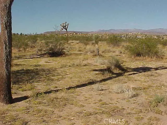 Landers, CA 92285,528 Landers LN
