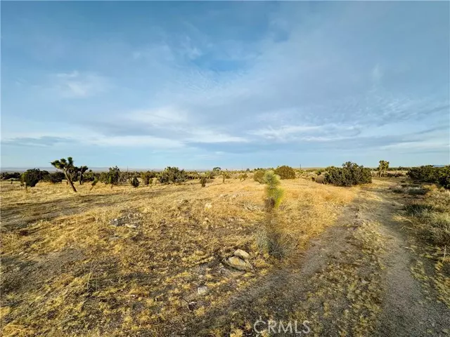 Pinon Hills, CA 92372,0 Evergreen Ct