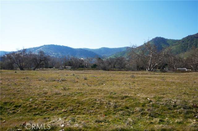 334 Lot, Live Oak Dr, Sanger, CA 93657