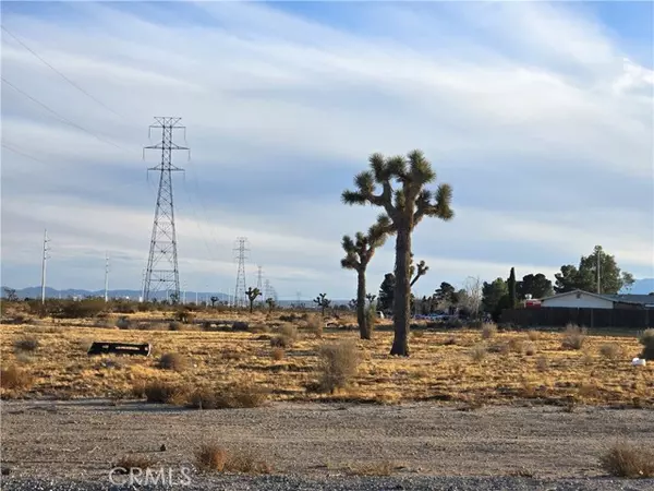 Adelanto, CA 92301,0 El Mirage 0459-482-14 RD