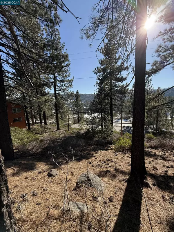 Truckee, CA 96161-5020,12442 Richards Blvd