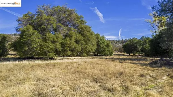 16275 Moccasin Ranch Parcel 29, La Grange, CA 95329