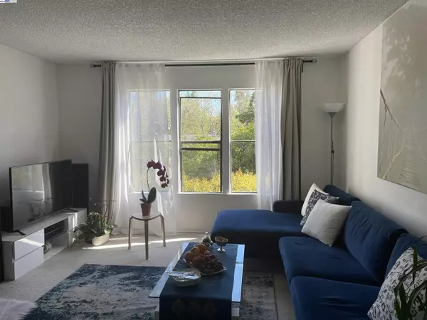 Pleasant Hill, CA 94523,395 Camelback Rd 2