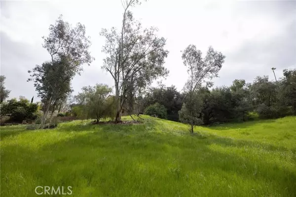 Redlands, CA 92373,1702 Dwight ST