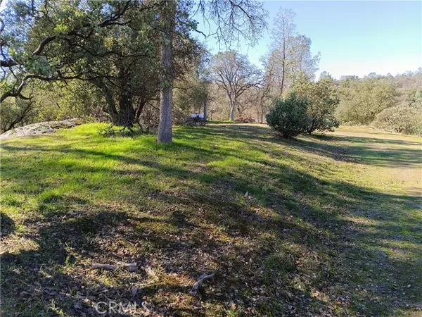 Coarsegold, CA 93614,0 Lot 856 Deep Forest DR