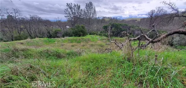 Corning, CA 96021,6960 Cougar DR