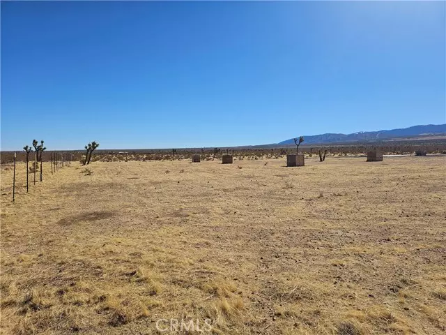 Palmdale, CA 93591,0 175th ST