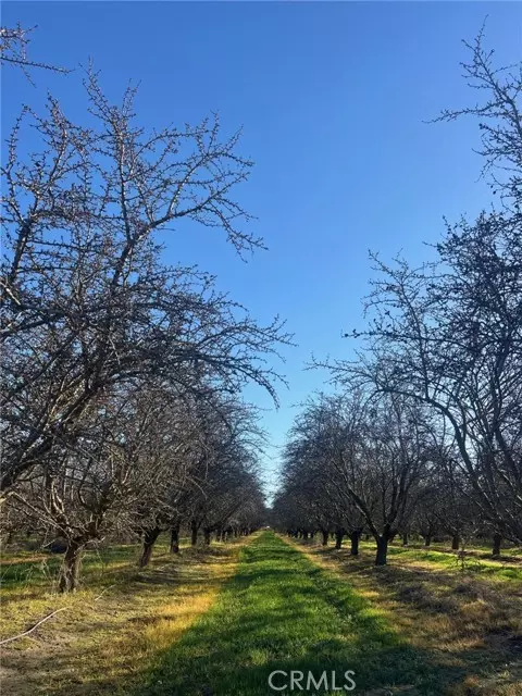 Firebaugh, CA 93622,1 American AVE