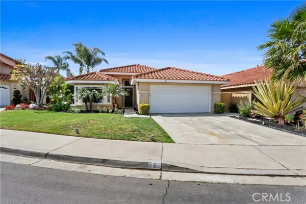 Rancho Santa Margarita, CA 92688,8 Sarracenia