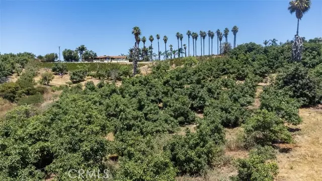 6602 Bobritt LN, Bonsall, CA 92003