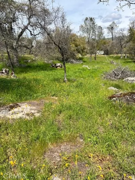 0 Lot 895 John Muir DR, Coarsegold, CA 93614