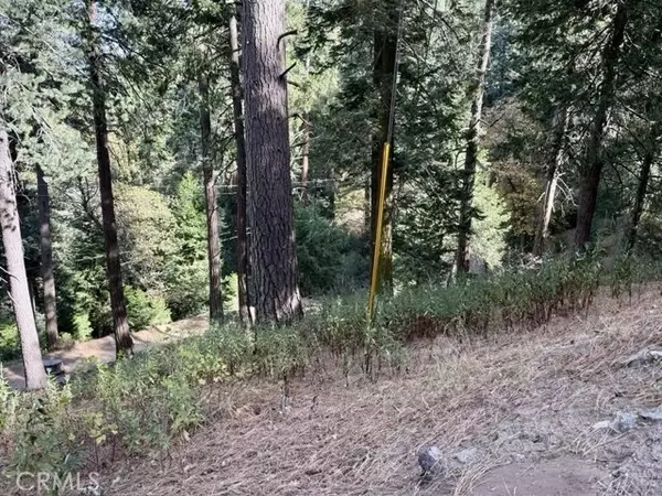 Cedarpines Park, CA 92322,0 Burnt Mill Canyon RD