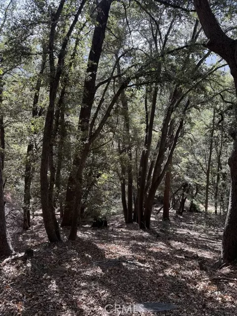 0 343-061-27-000, Cedarpines Park, CA 92322