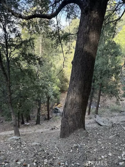 Cedarpines Park, CA 92322,0 Mojave River RD