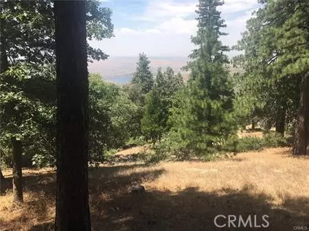 Cedarpines Park, CA 92322,857 Mozumdar DR