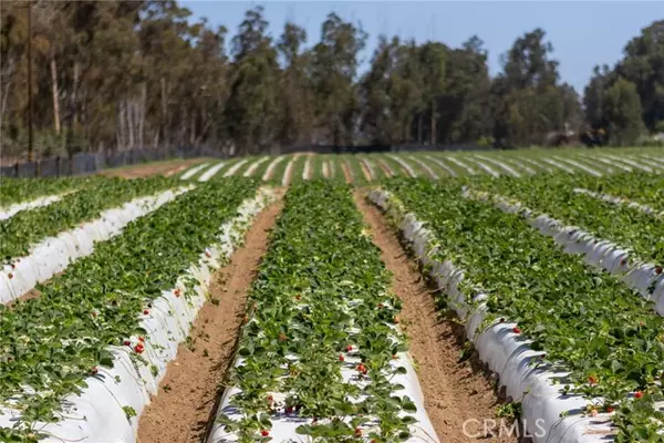 Nipomo, CA 93444,0 Indiana WAY