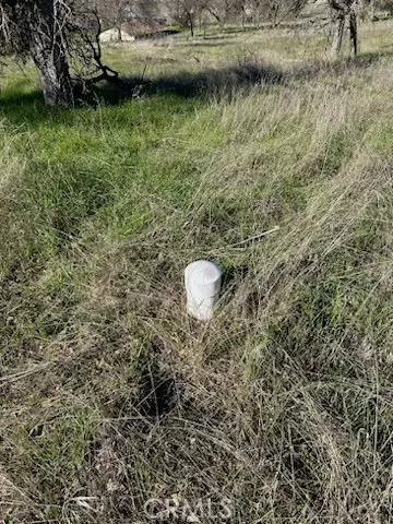 Catheys Valley, CA 95306,5 Acres - El Toro RD