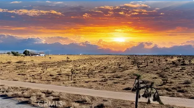 Victorville, CA 92392,0 Eucalyptus