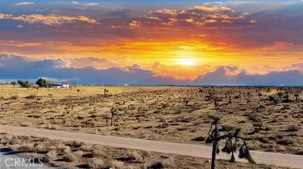 Victorville, CA 92392,0 Eucalyptus