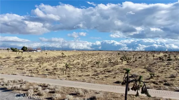 Victorville, CA 92392,0 Eucalyptus