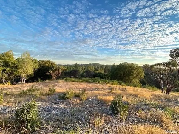 Mariposa, CA 95338,17 5 Acres Vista Lago