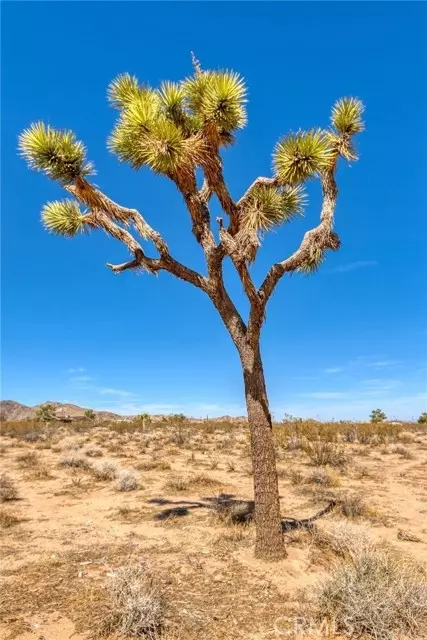 Yucca Valley, CA 92284,76 Deer TRL