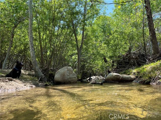 Acton, CA 93510,30880 Aliso Canyon RD