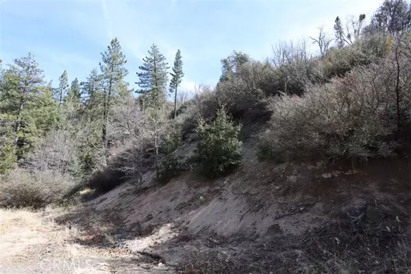 Cedar Glen, CA 92321,717 Acacia RD