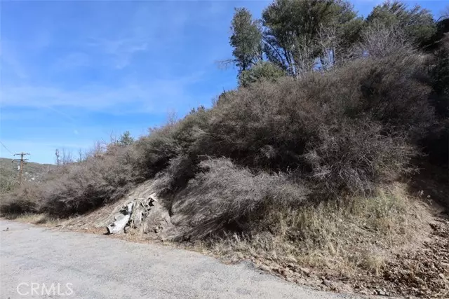 717 Acacia RD, Cedar Glen, CA 92321