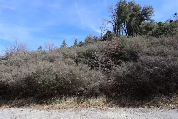 Cedar Glen, CA 92321,0 Acacia RD