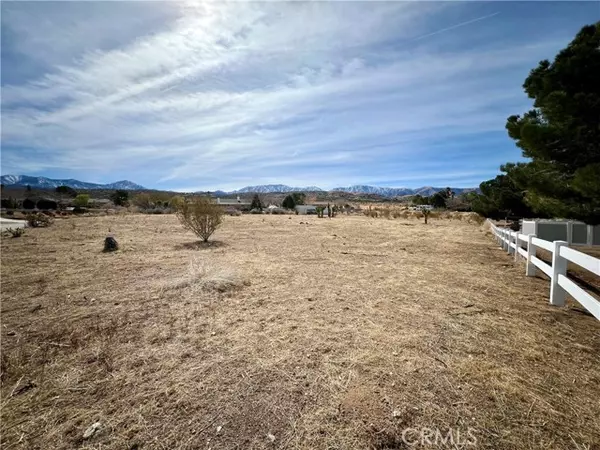 Llano, CA 93544,0 163 STE VIC Burning Tree ST