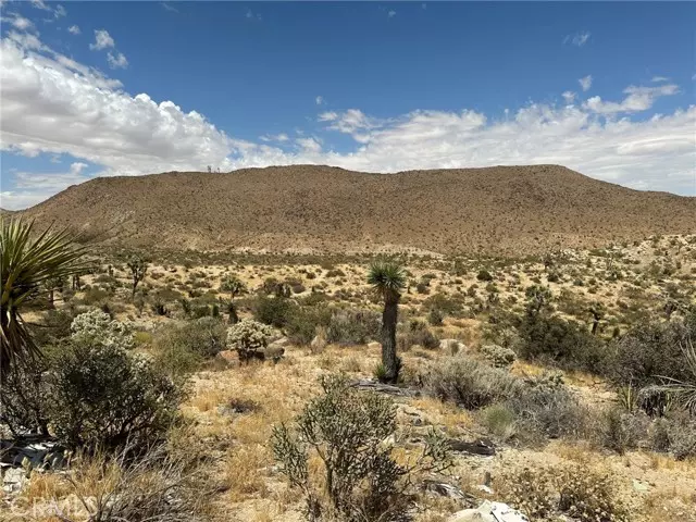 2468 Prescott Ave, Yucca Valley, CA 92284