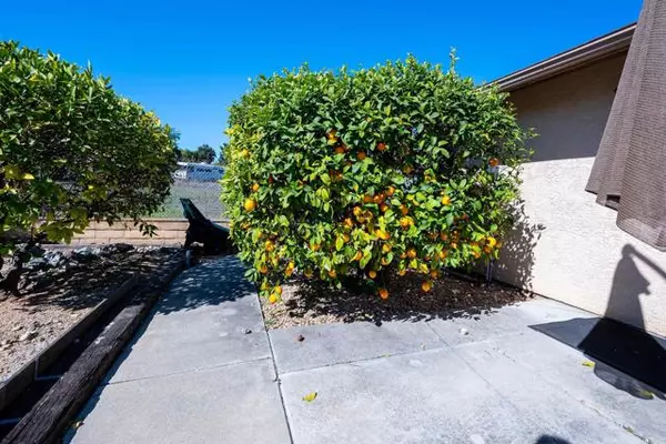 Escondido, CA 92026,1829 Nova GLN