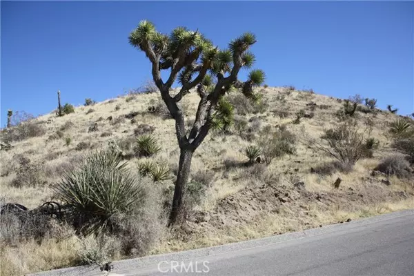 Yucca Valley, CA 92284,56448 Skyline Ranch RD