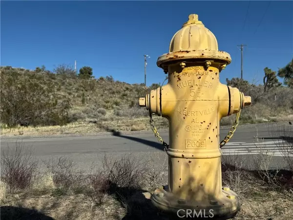Yucca Valley, CA 92284,56448 Skyline Ranch RD