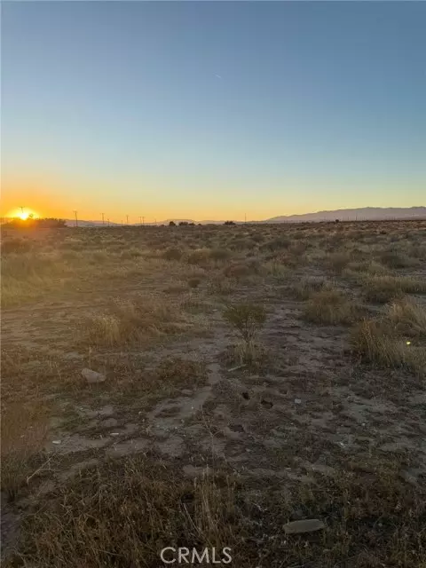 Rosamond, CA 93560,80 Vac land