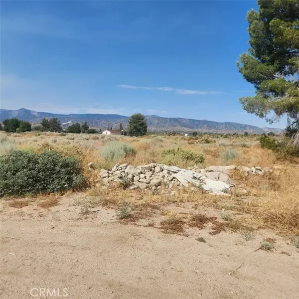 Phelan, CA 92371,0 Riggins