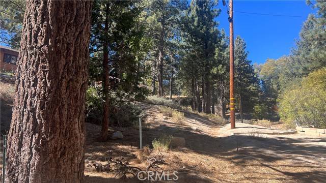 Green Valley Lake, CA 92341,33275 Iris DR