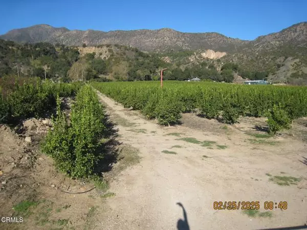 Fillmore, CA 93015,0 Grand AVE