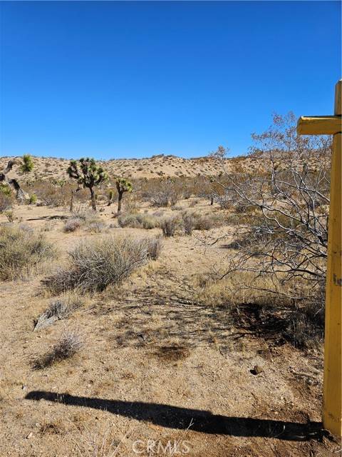 Yucca Valley, CA 92284,0 Del Monte