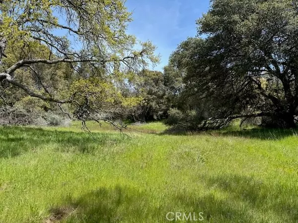 Mariposa, CA 95338,0 Highway 49 N