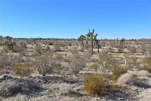 Yucca Valley, CA 92284,11 Alta AVE