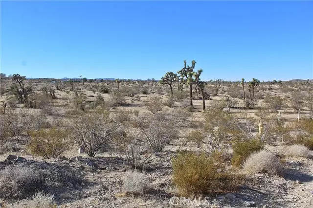 11 Alta AVE, Yucca Valley, CA 92284