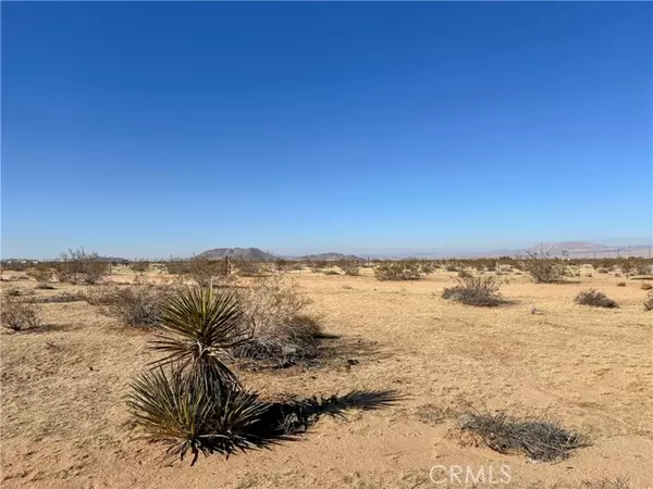 2 Mars DR, Joshua Tree, CA 92252