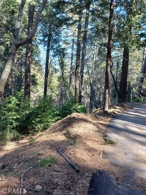 Cedarpines Park, CA 92322,687 Spring DR